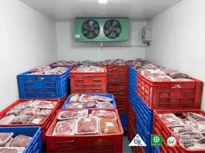 Optimalisasi Cold Storage Room